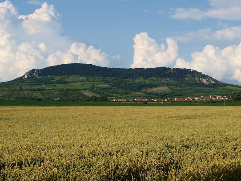 Penzion Kratochvil Dolní Dunajovice Dış mekan fotoğraf