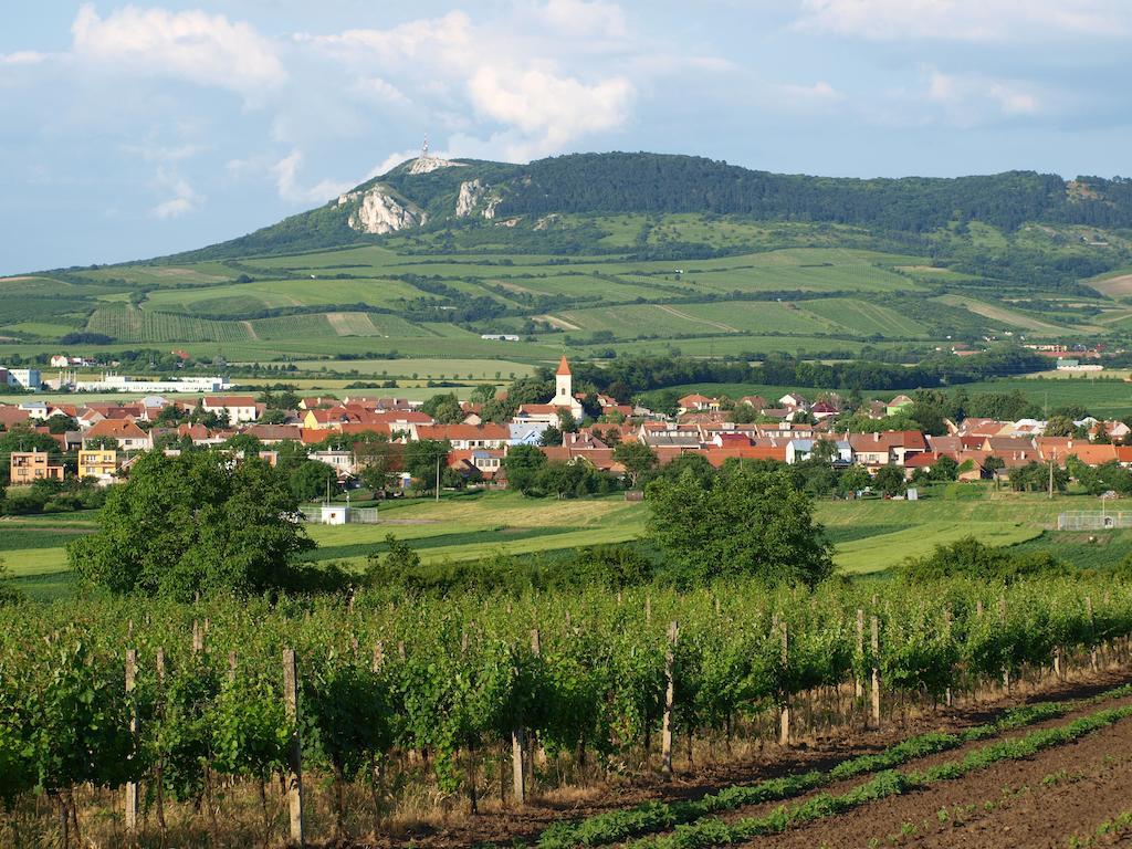 Penzion Kratochvil Dolní Dunajovice Dış mekan fotoğraf